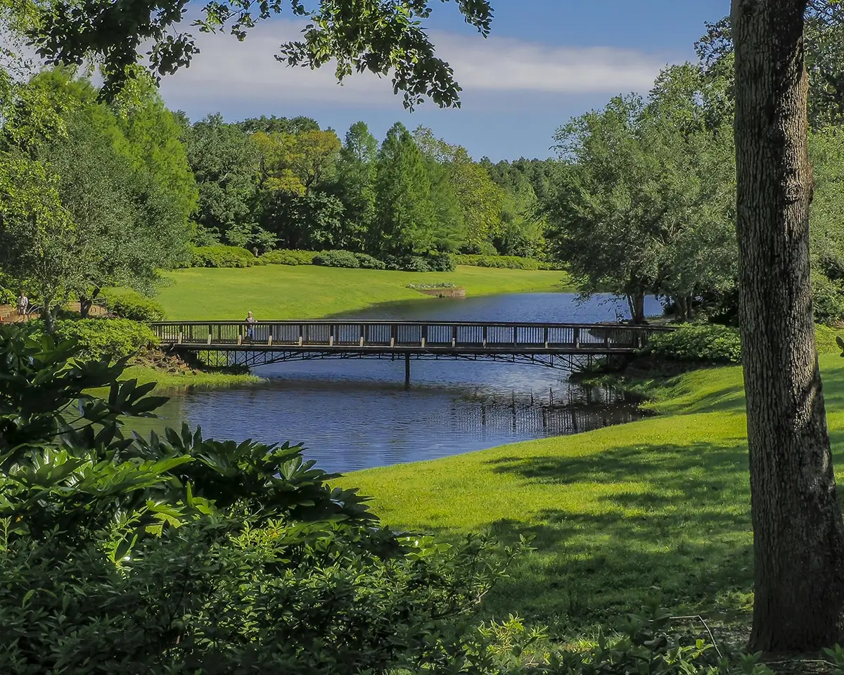photo of green trees surrounding creek & bridge in Alabama for page on finding a dietitian in AL