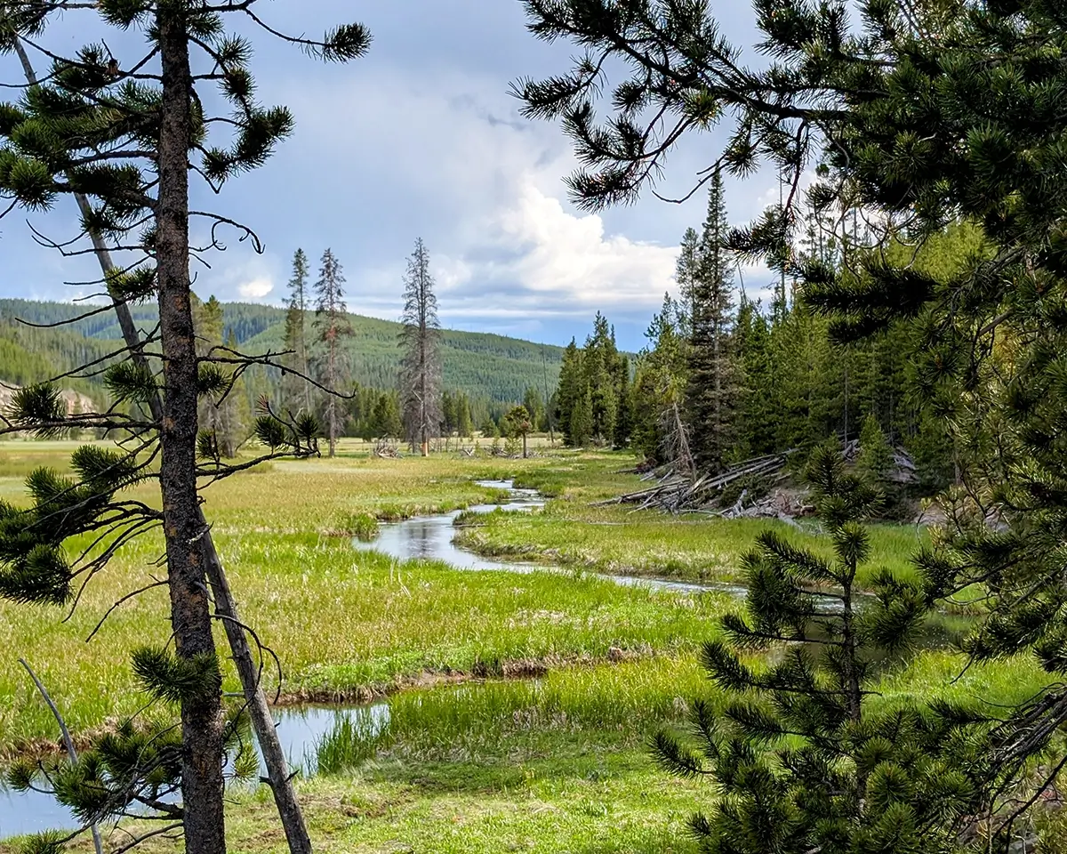 Scenic trail in Wyoming for page on finding a Diabetes Dietitian in WY